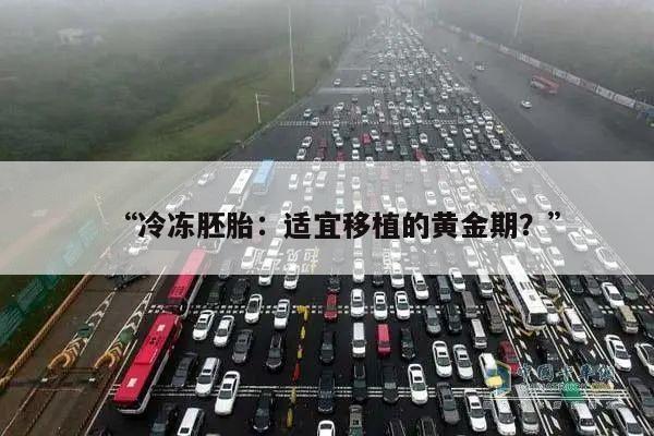 “冷冻胚胎:适宜移植的黄金期?”