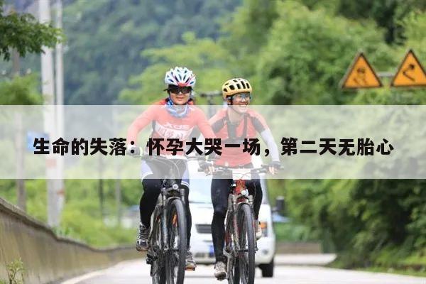 生命的失落:怀孕大哭一场,第二天无胎心