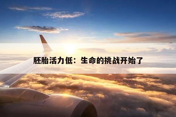 胚胎活力低:生命的挑战开始了