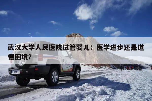 武汉大学人民医院试管婴儿：医学进步还是道德困境？