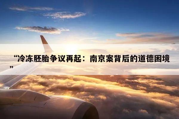 “冷冻胚胎争议再起:南京案背后的道德困境”