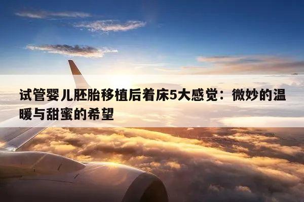 试管婴儿胚胎移植后着床5大感觉:微妙的温暖与甜蜜的希望