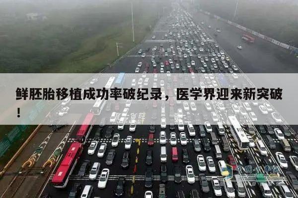 鲜胚胎移植成功率破纪录，医学界迎来新突破！