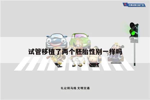 试管移植了两个胚胎性别一样吗
