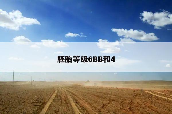 胚胎等级6BB和4