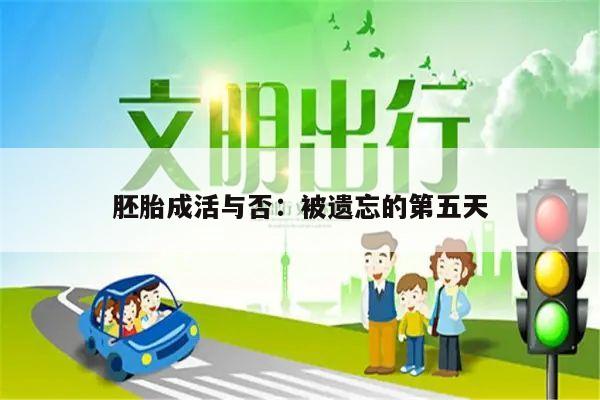 胚胎成活与否：被遗忘的第五天
