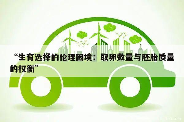 “生育选择的伦理困境：取卵数量与胚胎质量的权衡”