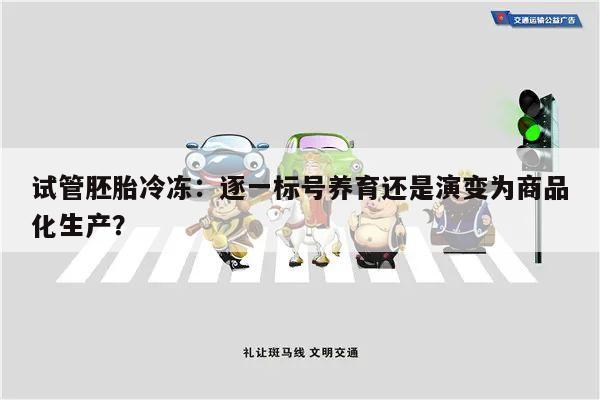 试管胚胎冷冻:逐一标号养育还是演变为商品化生产?
