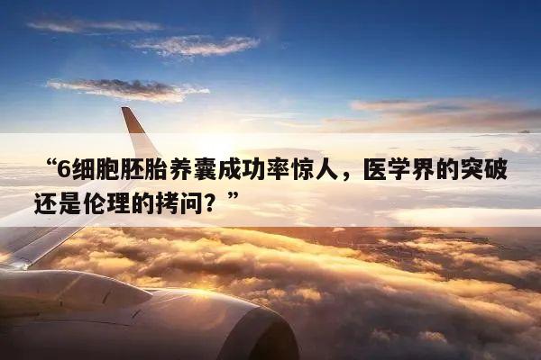 “6细胞胚胎养囊成功率惊人,医学界的突破还是伦理的拷问?”