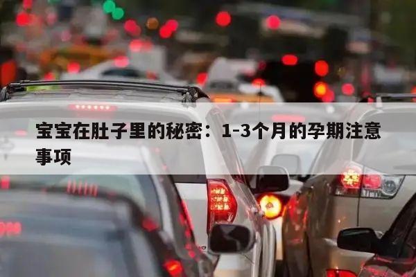 宝宝在肚子里的秘密:1-3个月的孕期注意事项