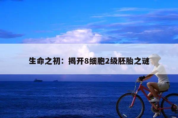 生命之初：揭开8细胞2级胚胎之谜