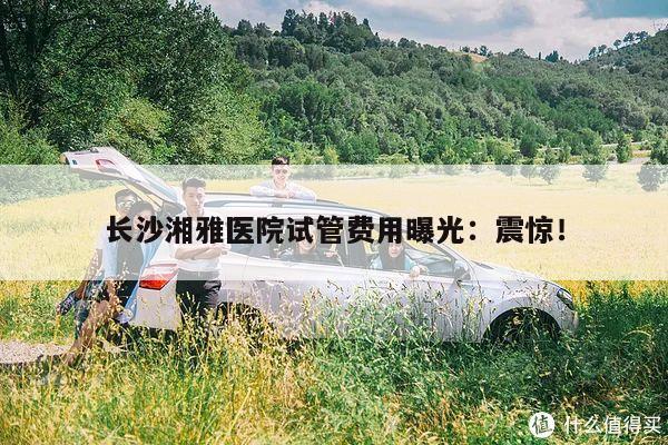 长沙湘雅医院试管费用曝光:震惊!