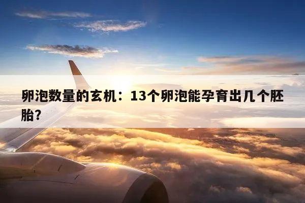 卵泡数量的玄机:13个卵泡能孕育出几个胚胎?