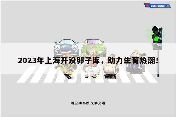 2023年上海开设卵子库，助力生育热潮！