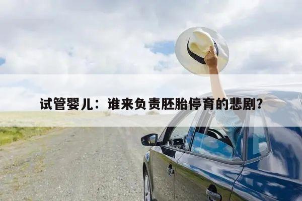 试管婴儿:谁来负责胚胎停育的悲剧?
