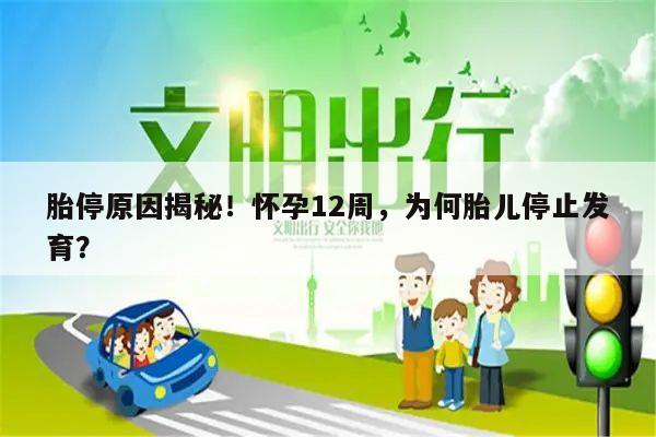 胎停原因揭秘!怀孕12周,为何胎儿停止发育?