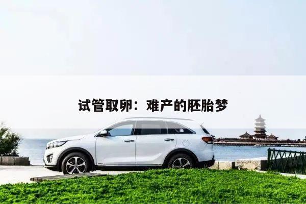 试管取卵:难产的胚胎梦