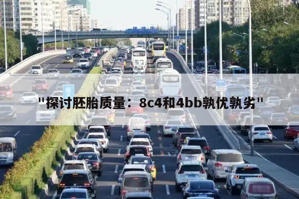 "探讨胚胎质量:8c4和4bb孰优孰劣"