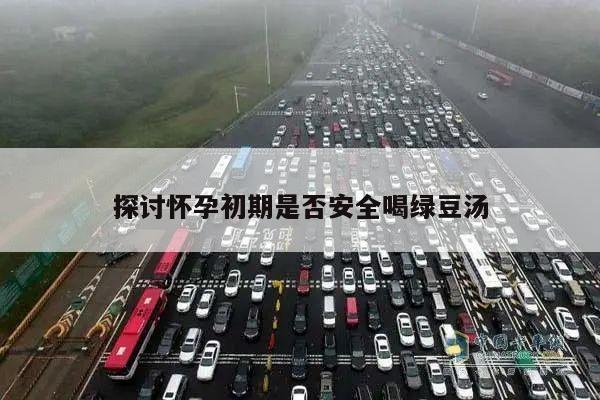 探讨怀孕初期是否安全喝绿豆汤