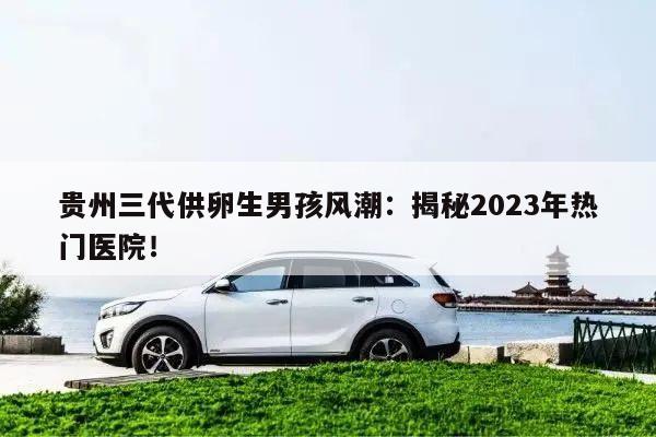 贵州三代供卵生男孩风潮:揭秘2023年热门医院!