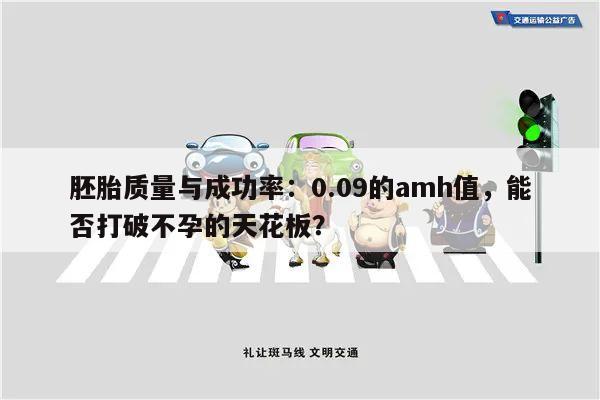 胚胎质量与成功率：0.09的amh值，能否打破不孕的天花板？