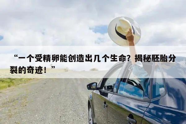 “一个受精卵能创造出几个生命?揭秘胚胎分裂的奇迹!”