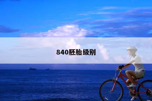 840胚胎级别