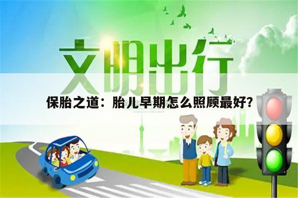 保胎之道：胎儿早期怎么照顾最好？