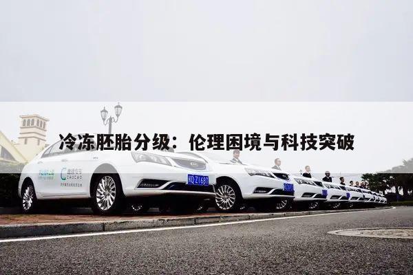 冷冻胚胎分级：伦理困境与科技突破