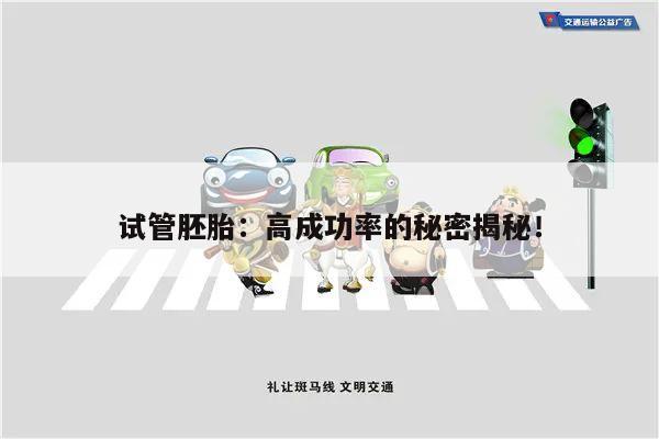 试管胚胎:高成功率的秘密揭秘!