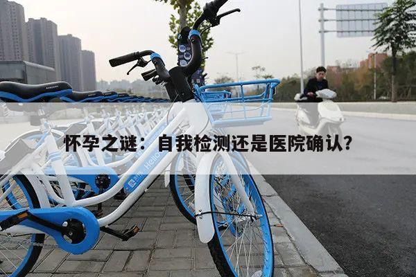 怀孕之谜:自我检测还是医院确认?