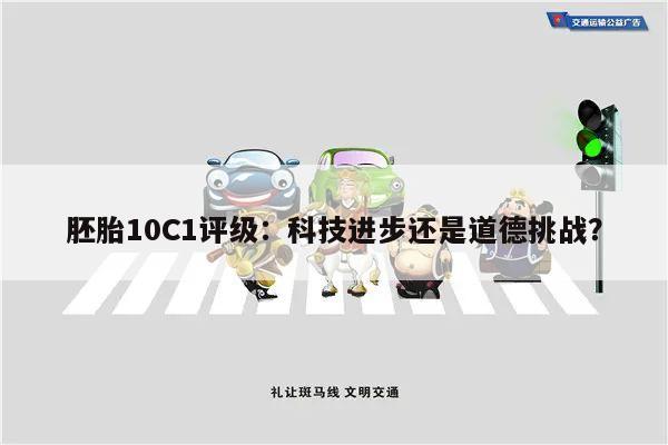 胚胎10C1评级：科技进步还是道德挑战？