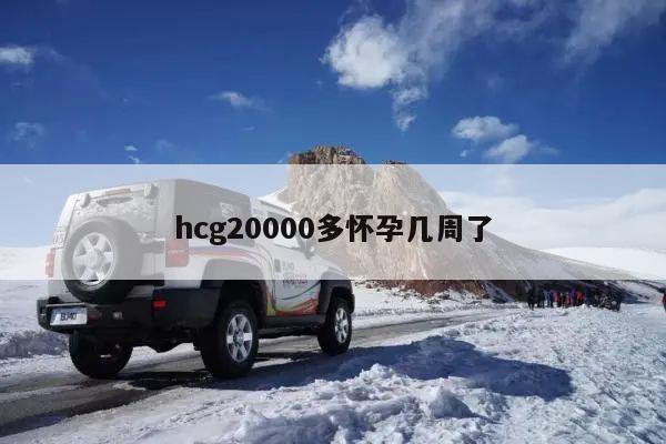 hcg20000多怀孕几周了