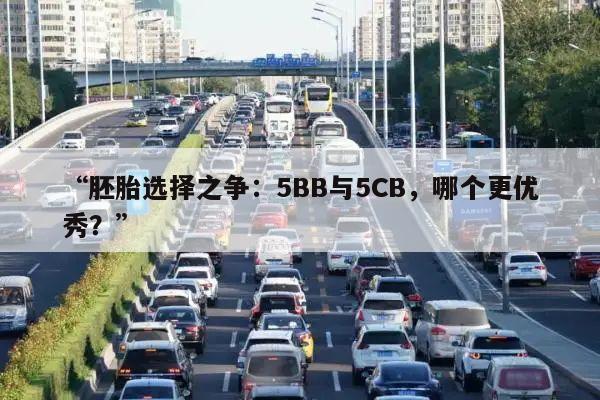 “胚胎选择之争:5BB与5CB,哪个更优秀?”