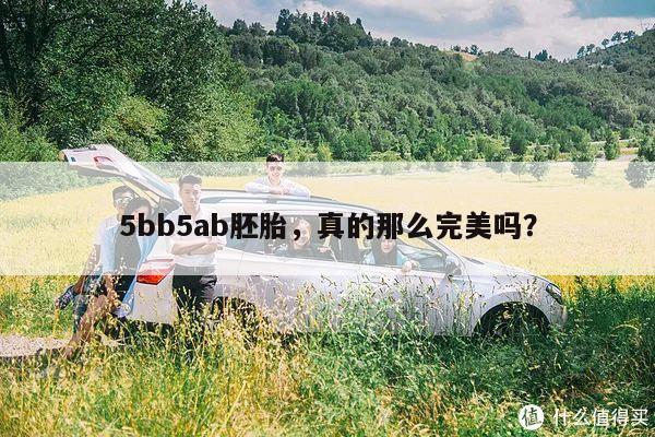 5bb5ab胚胎,真的那么完美吗?