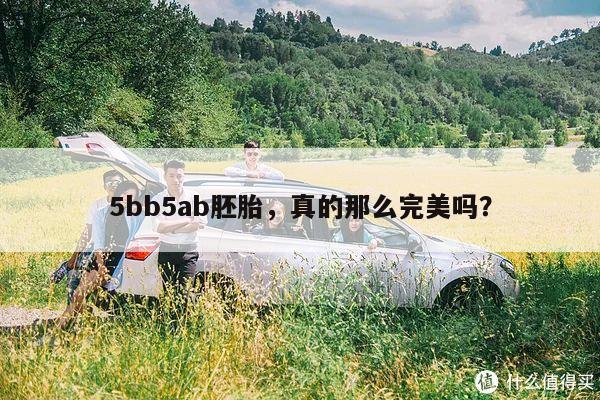 5bb5ab胚胎，真的那么完美吗？