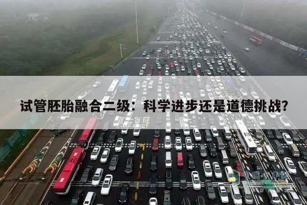 试管胚胎融合二级：科学进步还是道德挑战？