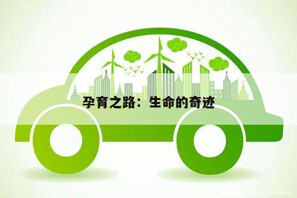 孕育之路:生命的奇迹