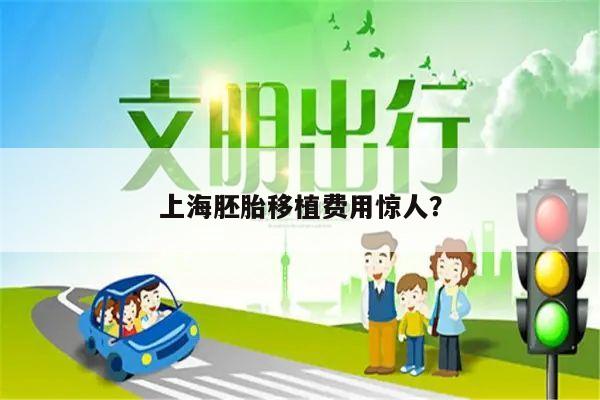 上海胚胎移植费用惊人？
