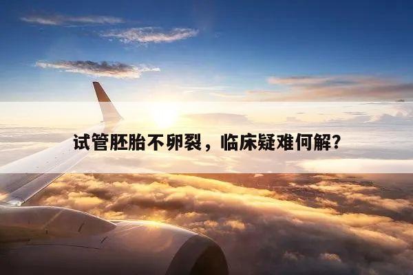 试管胚胎不卵裂,临床疑难何解?