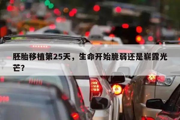 胚胎移植第25天,生命开始脆弱还是崭露光芒?