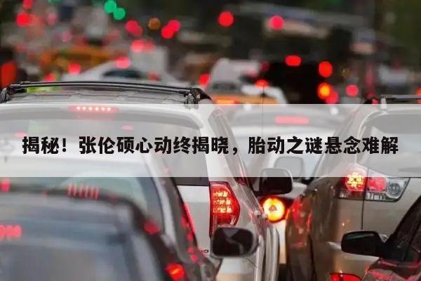 揭秘!张伦硕心动终揭晓,胎动之谜悬念难解