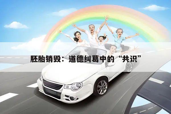 胚胎销毁:道德纠葛中的“共识”