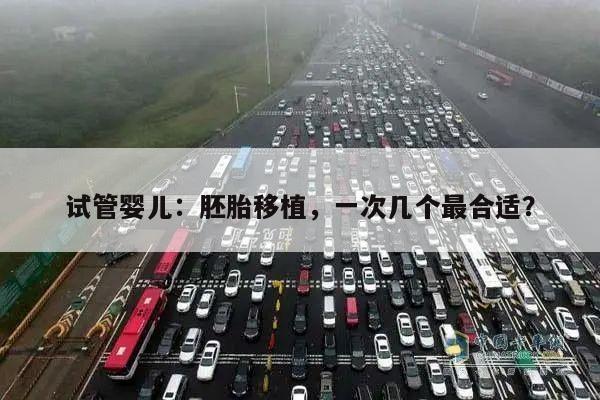 试管婴儿：胚胎移植，一次几个最合适？