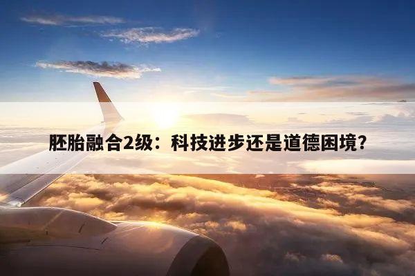 胚胎融合2级：科技进步还是道德困境？