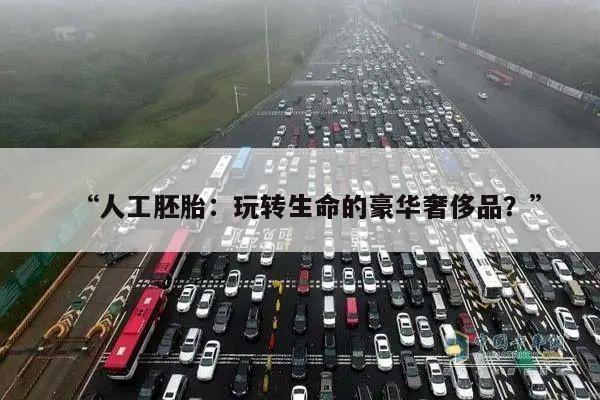 “人工胚胎:玩转生命的豪华奢侈品?”