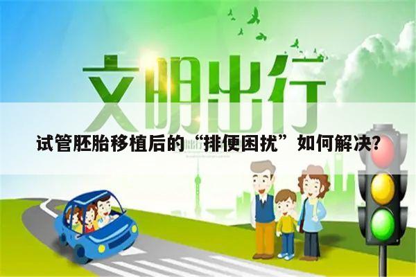 试管胚胎移植后的“排便困扰”如何解决?