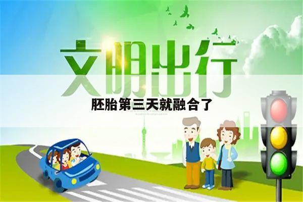胚胎第三天就融合了