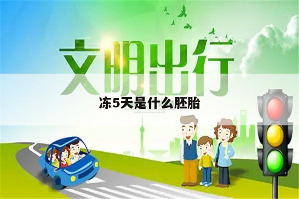 冻5天是什么胚胎