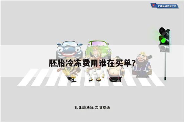 胚胎冷冻费用谁在买单?